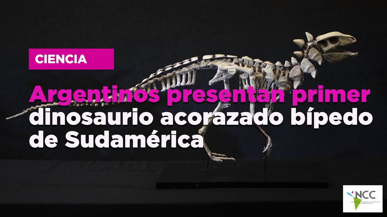 Argentinos presentan primer dinosaurio acorazado bípedo de Sudamérica ...