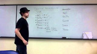 Lab Review - Selective Permeability (Unit 7 Diffusion)