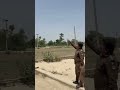کوٹ چھٹہ پولیس کے خوف سے بندہ کھجور کے درخت پر چڑھ گیا 😲 | دلچسپ منظر آخر تک دیکھیں