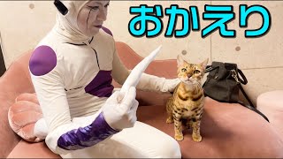 手が付けられなかった動物が成長して帰ってきました。