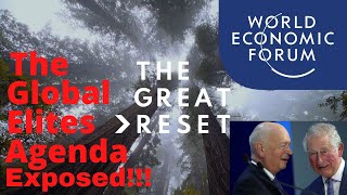 The Great Reset explained. Best performing ETF in 2019!! Global elites Agenda explained.