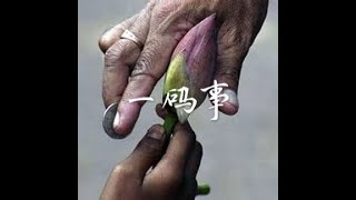 201710 一码事40355