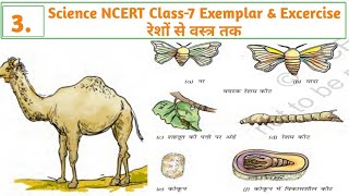 Science NCERT|Class-7|Chapter-3 Exemplar &amp; Excercise|रेशों से वस्त्र तक|Fibre to Fabric #ncert