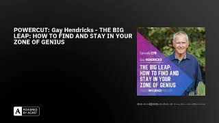 POWERCUT: Gay Hendricks - THE BIG LEAP: HOW TO FIND AND STAY IN YOUR ZONE OF GENIUS