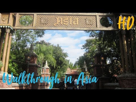 Asia in Animal Kingdom | HD | MagicalNewsLIVE