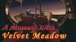A Moment With Velvet Meadow