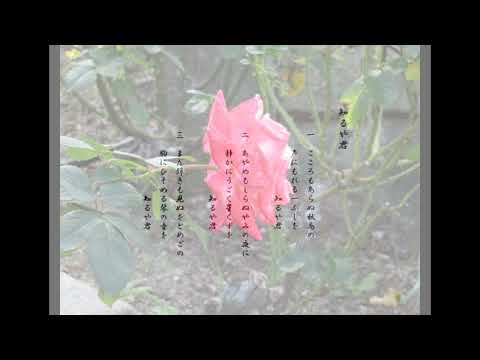 島崎　藤村の知るや君