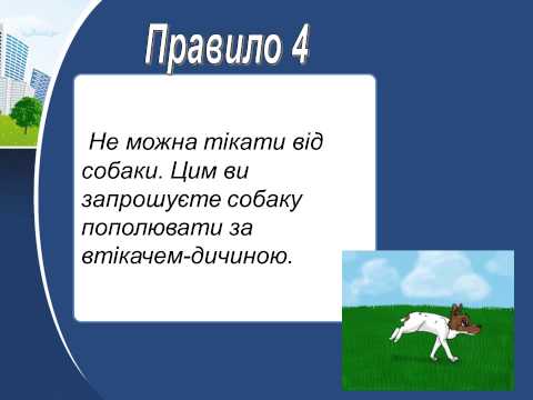 Правила безпеки при спілкуванні з тваринами