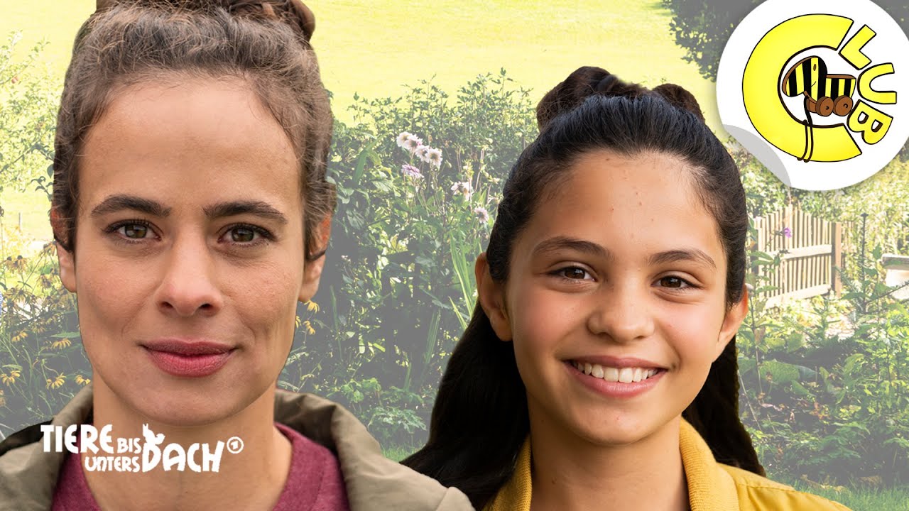 Tiere bis unters Dach – die neuen Stars | Tigerenten Club