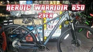Aeroic Warrior 650