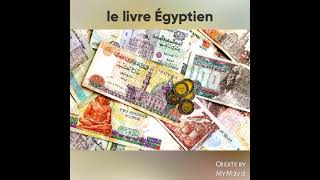 livre Égyptien 🇪🇬🇪🇬