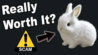 Petsboro Bunny Pal Review - Does it Really Work Or Total Scam?