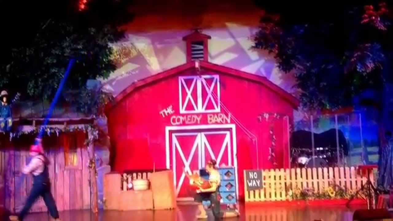 Cat Leaps From 12 Foot Pole Video Shot At The Comedy Barn Pigeon