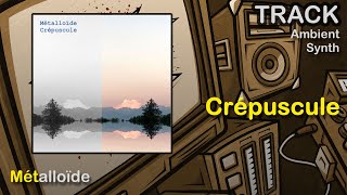 Métalloïde - Crépuscule [Ambient / Synth]