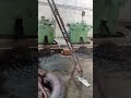 wire nail machine video