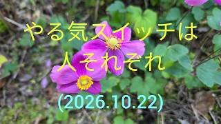 やる気スイッチは人それぞれ(2026.10.22)