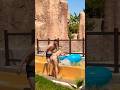 🌞Beautiful Summer Vacation in Aqupark and Water Slides🦋#waterpark #waterslide #aquapark