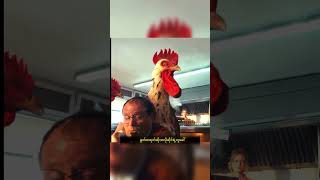 May 22 2026