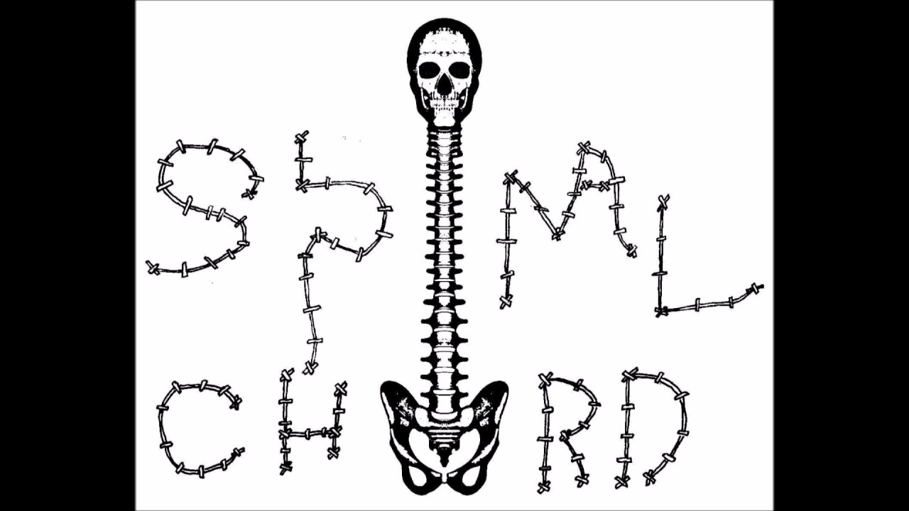Spinalchord - Unsilent Death (Nails Cover)