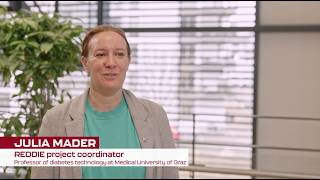 REDDIE MetReal Cluster Multistakeholder Workshop - Julia Mader