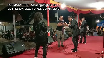 PERMATA TRIO -  Manangiangkon Au ( Live HORJA BIUS TOMOK 30 nov 2019)