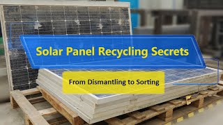 Solar Panel Recycling Secrets: From Dismantling to Sorting