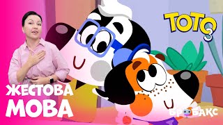 🐶ТОТО 3: СЕРІЯ 10 | Я ВПОРАВСЯ! 🎉| МУЛЬТИК ЖЕСТОВОЮ МОВОЮ | АНІМАЦІЙНИЙ СЕРІАЛ УКРАЇНСЬКОЮ