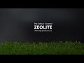 What is Zeolite ?