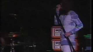 Jimmy Page and the Black Crowes - (2/23) the wanton song.avi