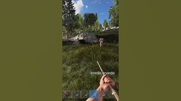 Human vs Bear - Rust