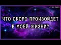 Что скоро произойдет в моей жизни, какие изменения ждут?