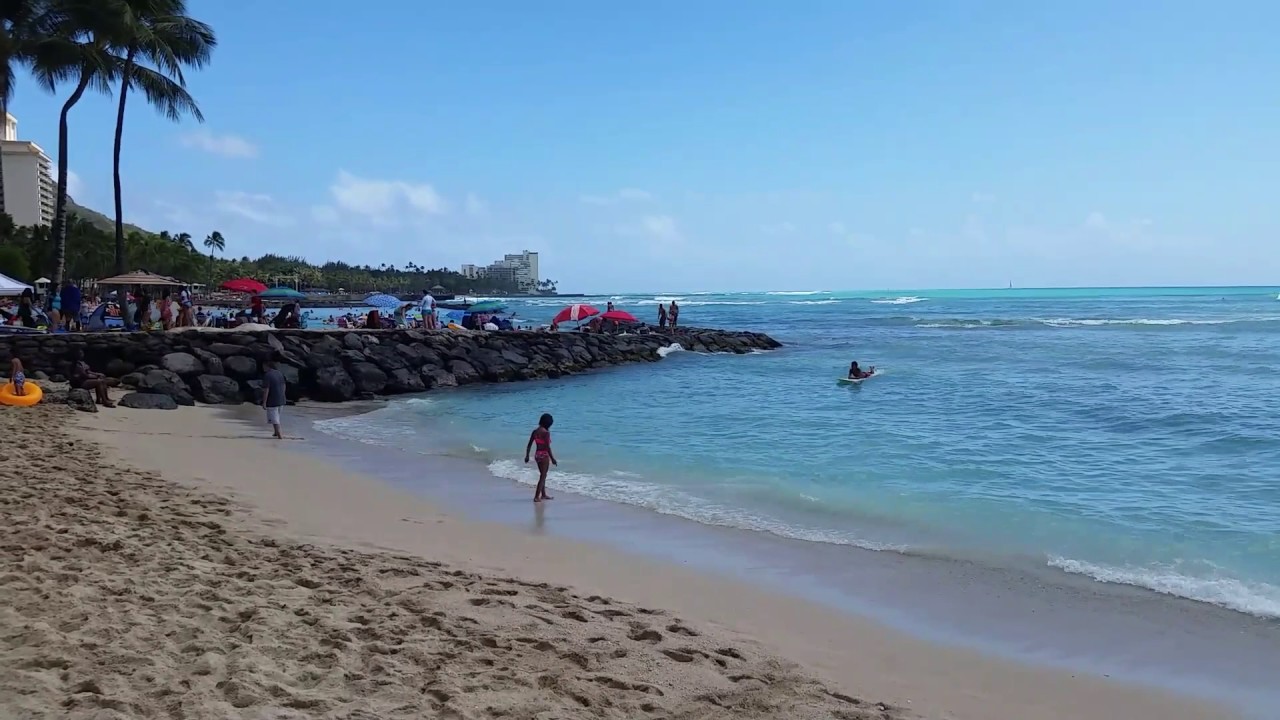 camera iphone 8 plus apk Lots of Surfers in the Water at Waikiki Beach, Oahu, Hawaii
