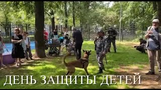 В Москве в День защиты детей служебные собаки и щенки показали, как они готовятся к службе в городе