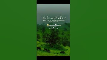 #سورة_البقرة #آية_الكرسي #القرآن_الكريم #تلاوة_خاشعة