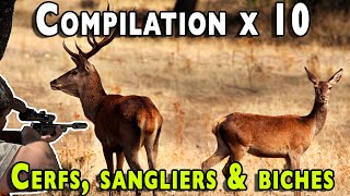 Compilation x 10 DEER, WILD BOAR, deer & misfire!!