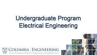 Undergraduate Program in Electrical Engineering Wealth
