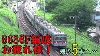 【残り5編成へ…】東急8500系8636F編成廃車