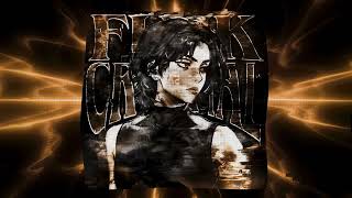 Funk Criminal (Super Slowed) Resimi