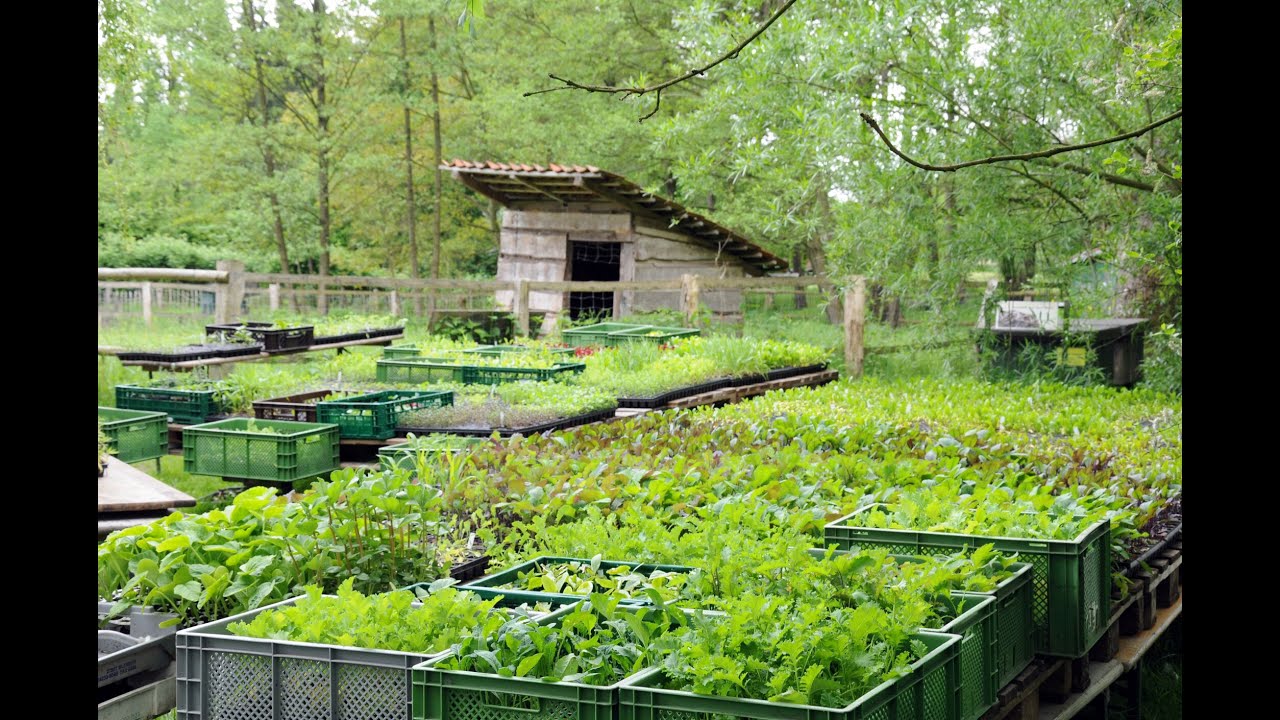 Museumsbauernhof Wennerstorf – Soziale Landwirtschaft und Museum