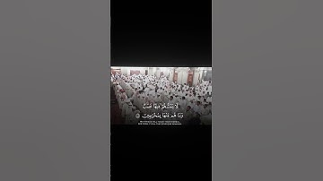 محمد خليل القارئ رحمه الله يحاكي المنشاوي رحمه الله من سورة الحجر