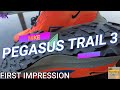 Shoe Review - First Impression - Nike Pegasus Trail 3 Best Trail Shoe First Run - TheRunningCuz 