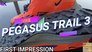 Shoe Review - First Impression - Nike Pegasus Trail 3 Best Trail Shoe First Run - TheRunningCuz 