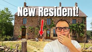 Meet Our Shocking New French Resident 🦡 |  French Farmhouse Renovation