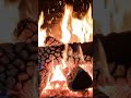 .Your Daily Dose of Zen 🔥 #relaxation #fire #ambient