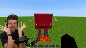 PrestonPlayz! Minecraft Mobs in REAL LIFE! animals, items, blocks