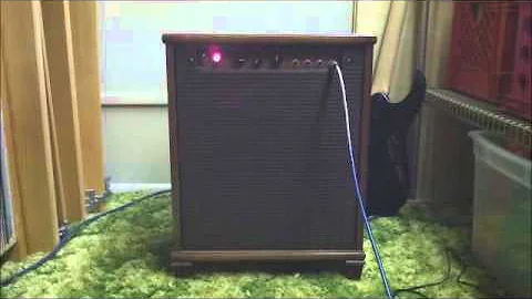 Lil' Leslie custom guitar amp DTS