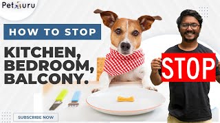 How to Stop Your Dog from Entering the Kitchen/ Balcony / Bedroom / Terrace