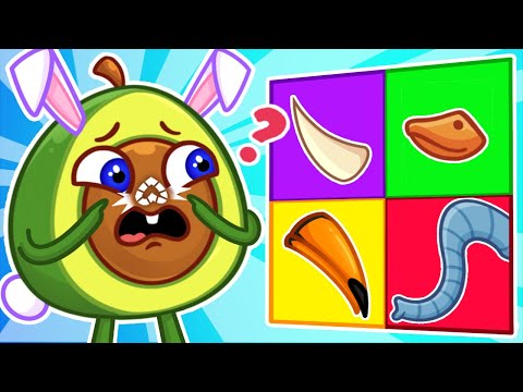 🐽 Where is My Nose?👃Avocado Lost his Nose!😱 II Fun Cartoons for Kids by Pit & Penny Stories 🥑💖