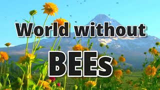 World without Bees #bees #insects