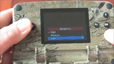 SPYPOINT TINY-HD trail camera review